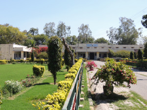 Institute of Mental Health and Hospital, Agra